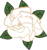 Gardenia 005 Drawing with leaves PNG & SVG. For Decorations and Crafts.