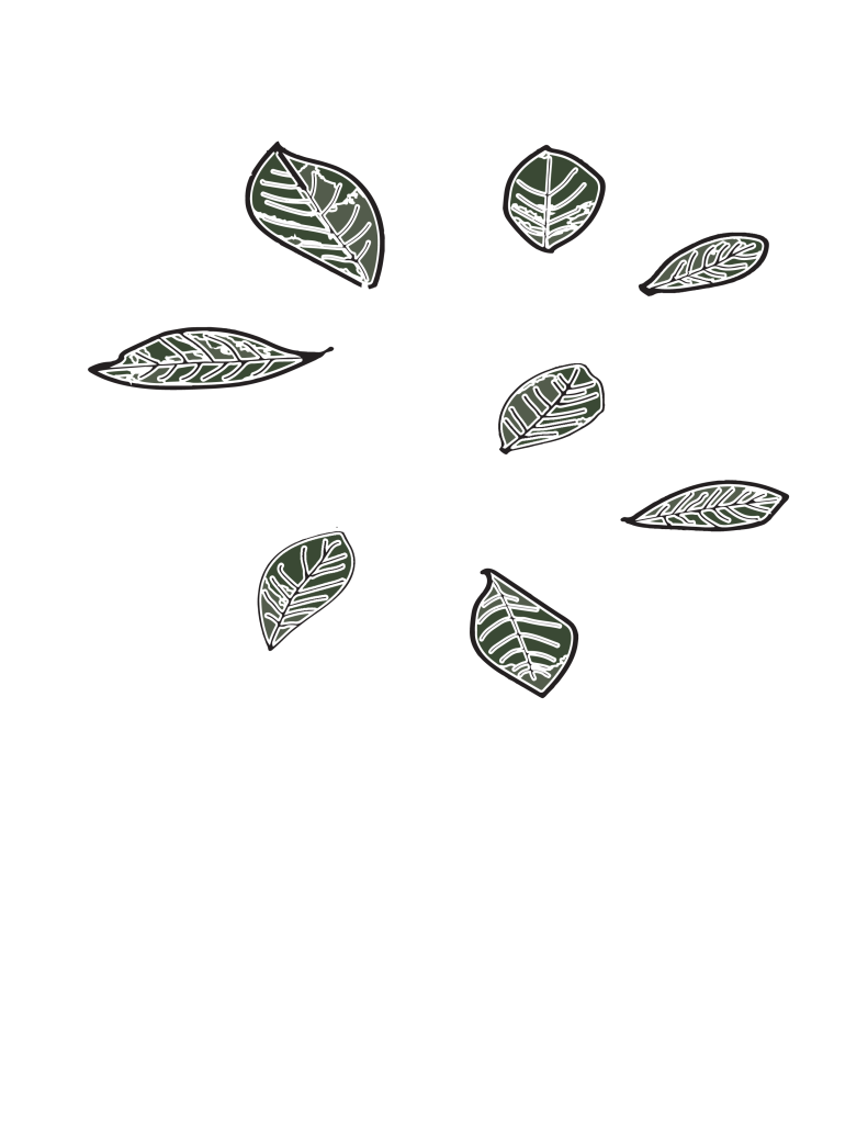 gardenia leaves 004